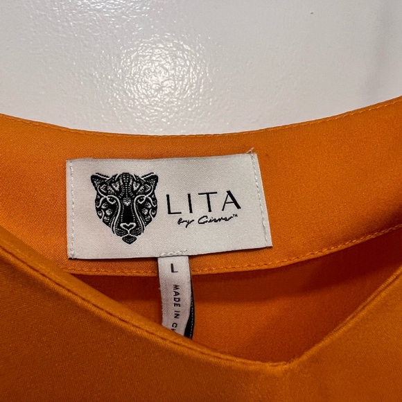 NWT Lita by Ciara 100% Silk Dress - Picture 5 of 8